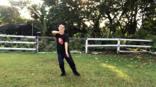 Teachlr.com - Tai Chi Chen 22 for Beginner - Strengthens Mind and Body