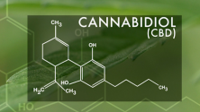 Teachlr.com - Bioquímica del cannabis