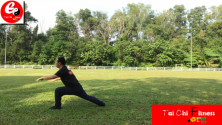Teachlr.com - Amazing Classic Yi Jin Jing (Muscle and Tendon Enhancement)