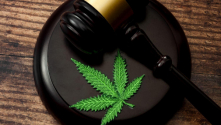 Teachlr.com - Cambios legales de la industria del cannabis