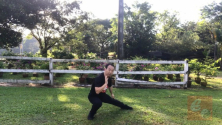 Teachlr.com - Authentic Fighting Tai Chi-Chen New Frame Routine (XinJia) 1