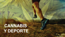 Teachlr.com - Cannabis y deporte